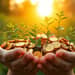 Financial Flourish: Cultivating Goals for Growth